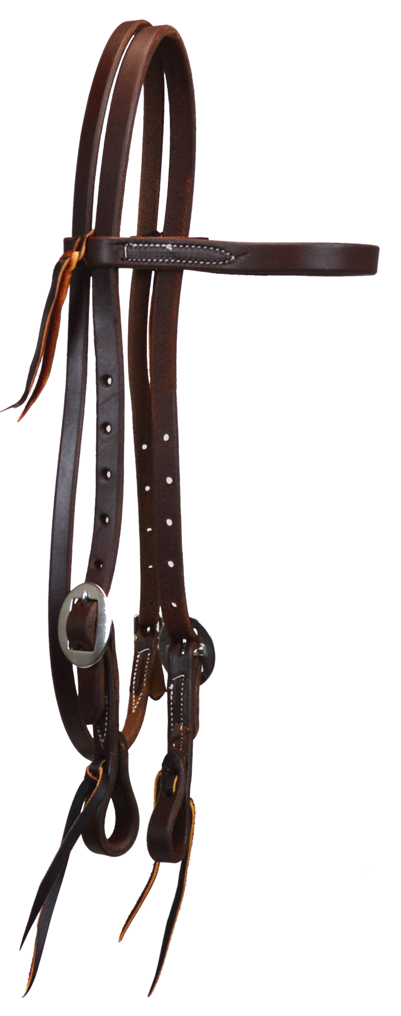 Paul Taylor Oiled Harness Leather Double Stainless Cart Buckle Browband Headstall